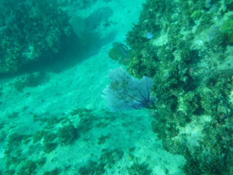 Name:  DSCF0141.jpg
Views: 590
Size:  91.9 KB