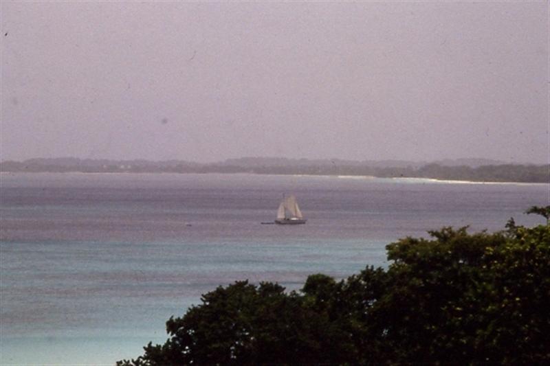 Name:  Negril Beach Vista.JPG
Views: 463
Size:  38.3 KB