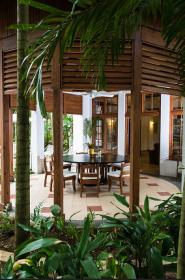 Name:  Palms !.jpg
Views: 387
Size:  15.0 KB