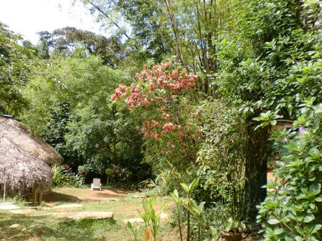 Name:  Jamaica 2011 196 (Copy).jpg
Views: 183
Size:  105.0 KB