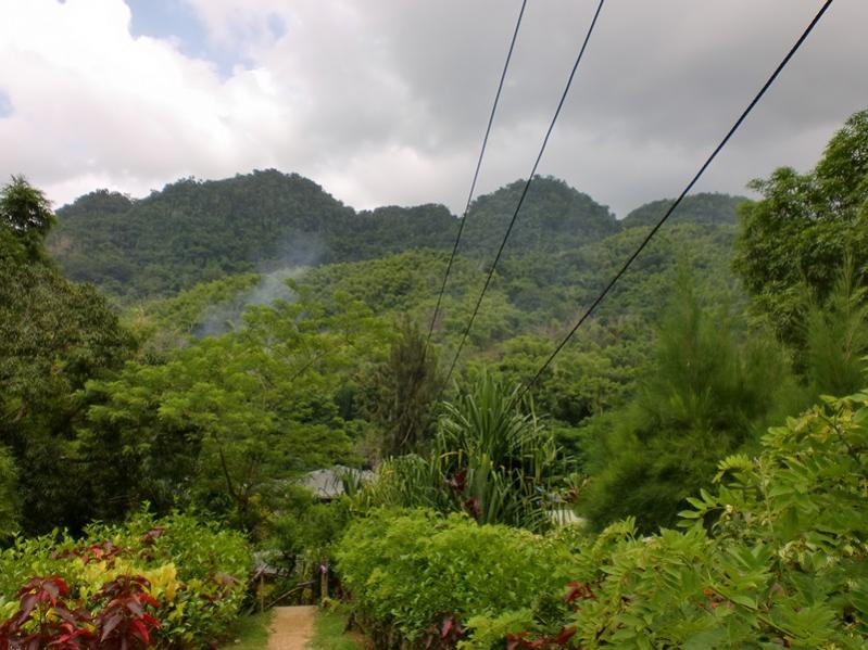Name:  Jamaica 2011 199 (Copy).jpg
Views: 180
Size:  76.0 KB