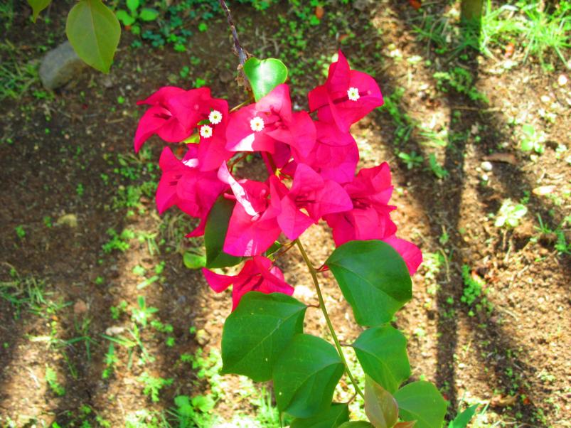Name:  20151220133232.jpg
Views: 558
Size:  99.1 KB