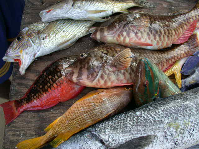 Name:  Img0278.JPG
Views: 542
Size:  41.1 KB