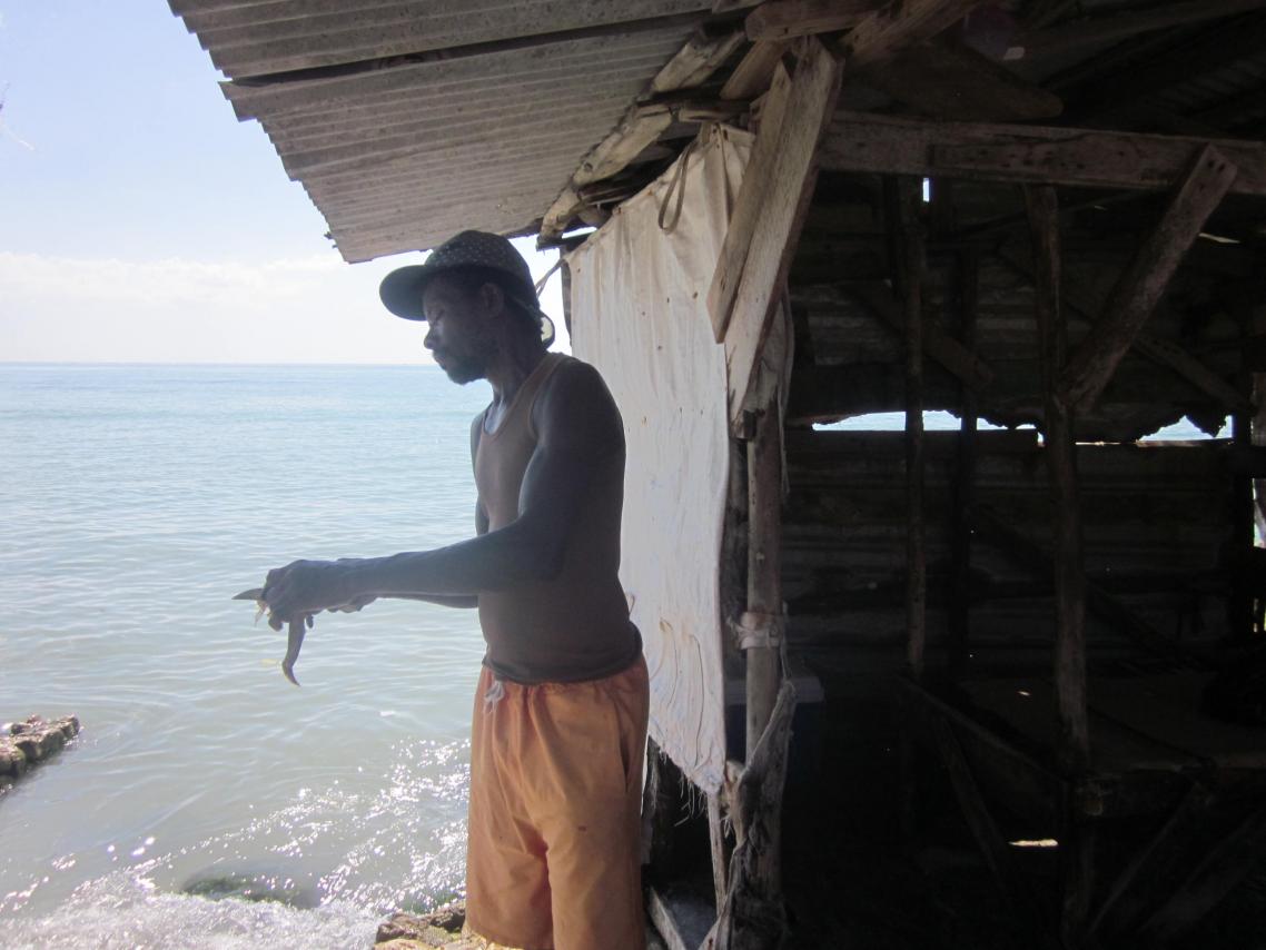 Name:  065.jpg
Views: 545
Size:  86.4 KB