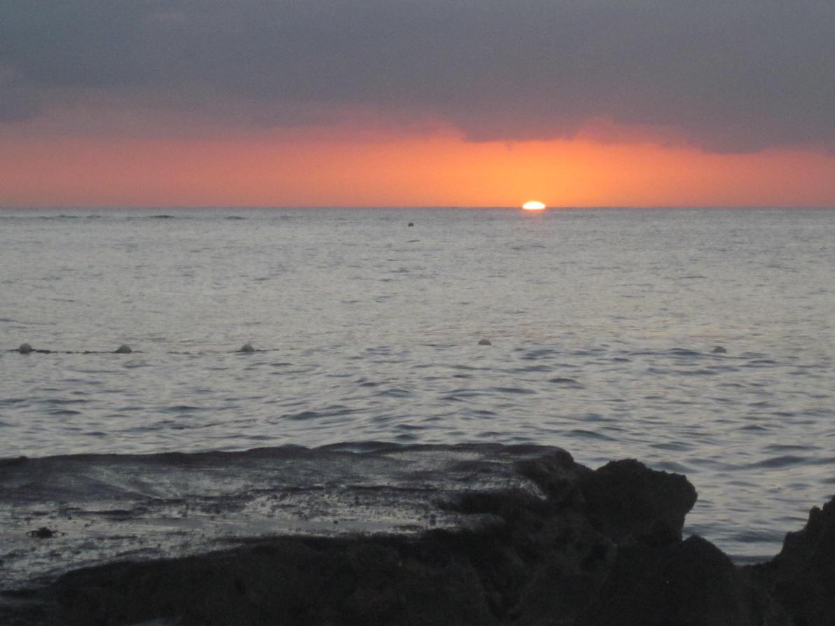 Name:  028.jpg
Views: 286
Size:  91.7 KB