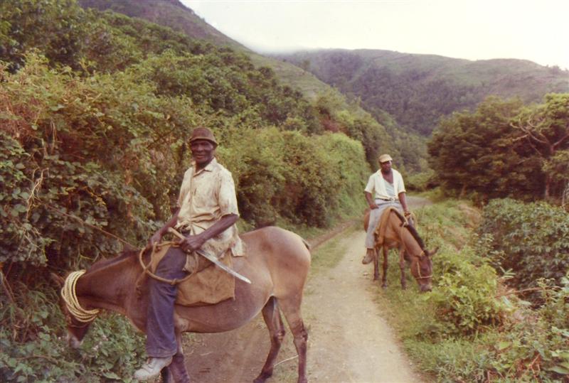 Name:  Coffee Farmers.JPG
Views: 670
Size:  75.8 KB
