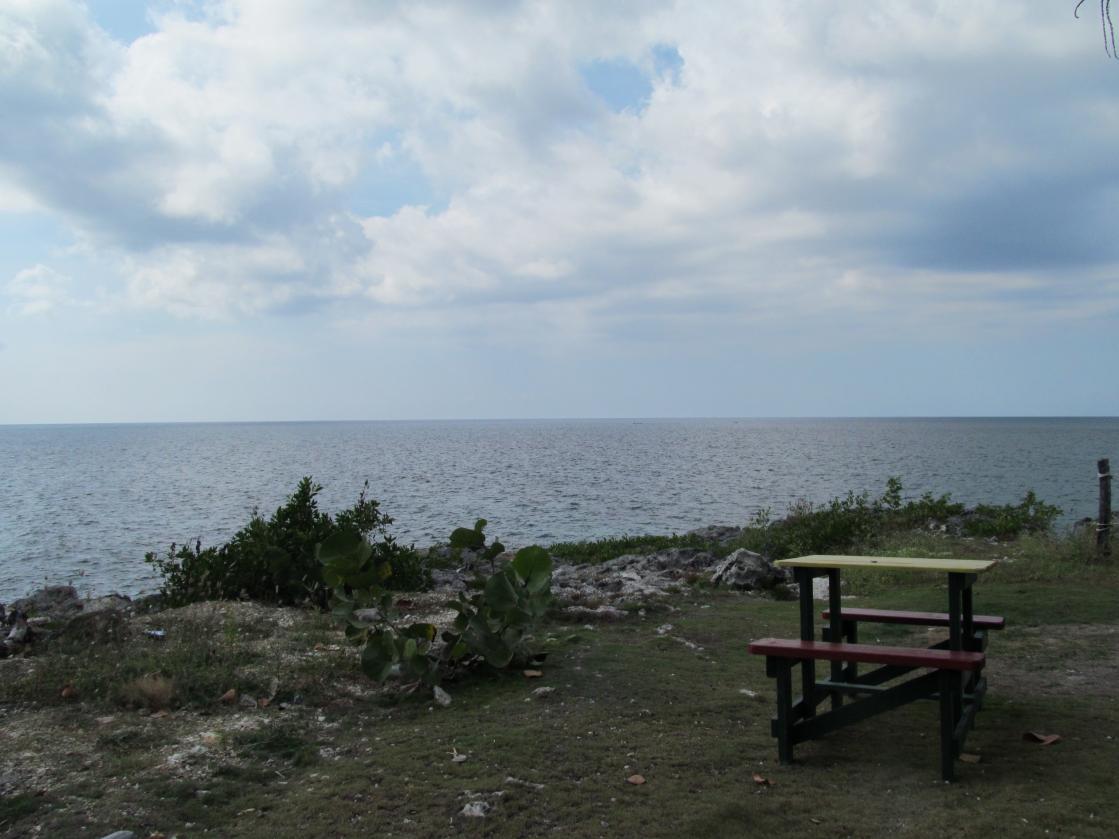 Name:  IMG_0822.jpg
Views: 519
Size:  90.0 KB