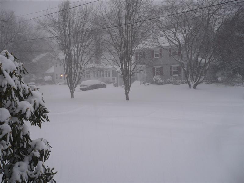 Name:  Blizzard.JPG
Views: 231
Size:  58.3 KB