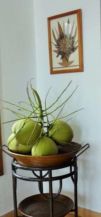 Name:  Coconut.jpg
Views: 328
Size:  32.0 KB