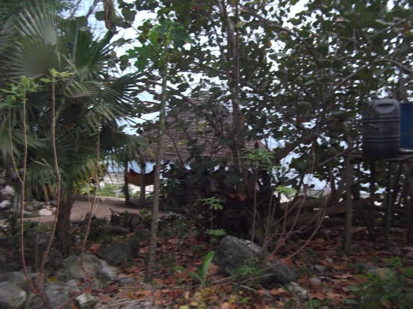 Name:  047.jpg
Views: 577
Size:  96.9 KB