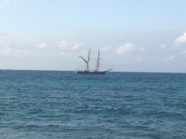 Name:  Negril #3.jpg
Views: 2052
Size:  11.8 KB
