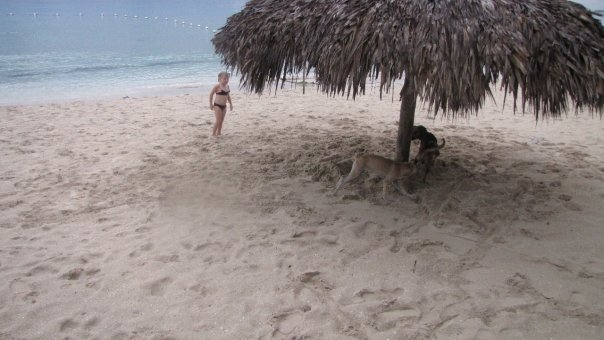 Name:  NBC beach (01528050x7AC1D).jpg
Views: 445
Size:  45.1 KB