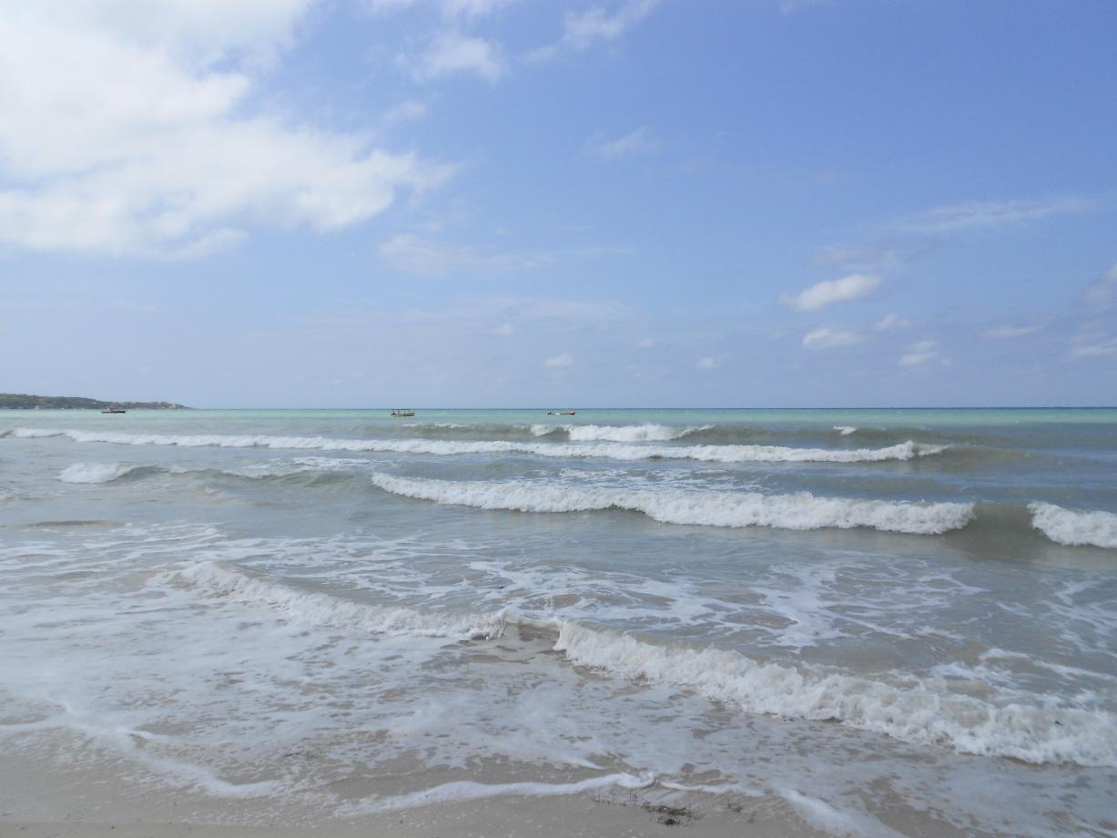 Name:  DSCN0703.jpg
Views: 1002
Size:  86.8 KB