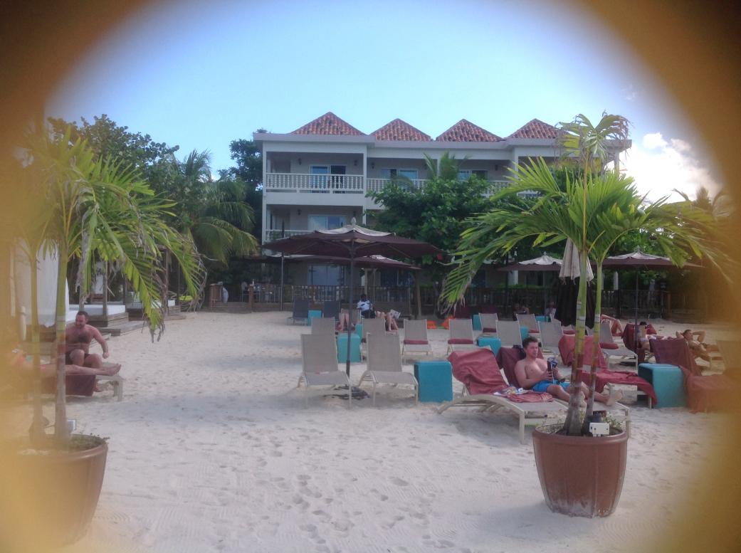 Name:  147.jpg
Views: 644
Size:  91.6 KB