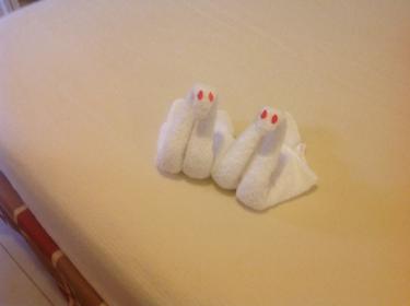 Name:  Love Doves.jpg
Views: 1116
Size:  6.6 KB