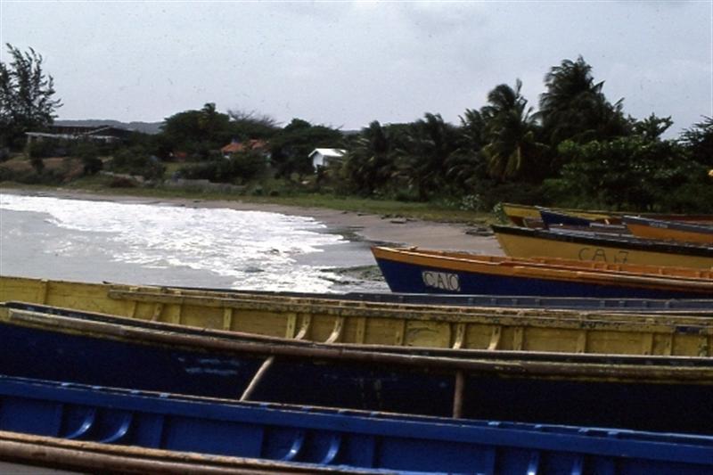 Name:  Treasure Beach Boats.JPG
Views: 826
Size:  56.4 KB