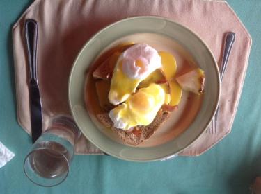 Name: Eggs.jpg
Views: 945
Size: 15.5 KB