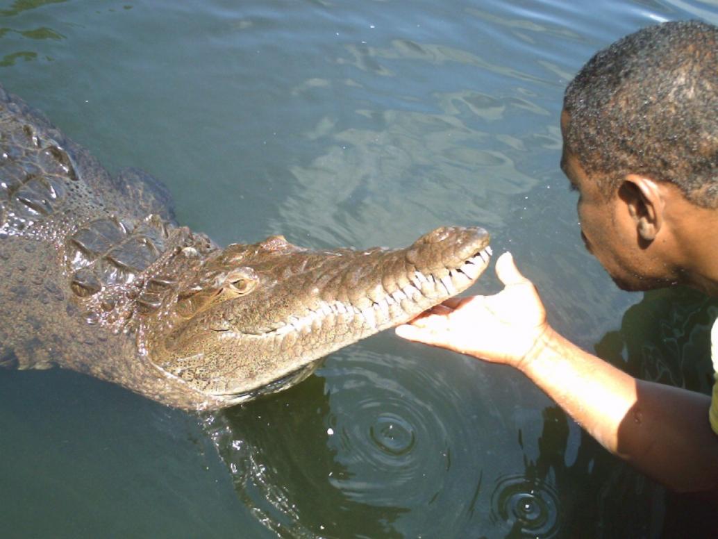 Name:  Blackriver Safari.jpg
Views: 1070
Size:  89.0 KB
