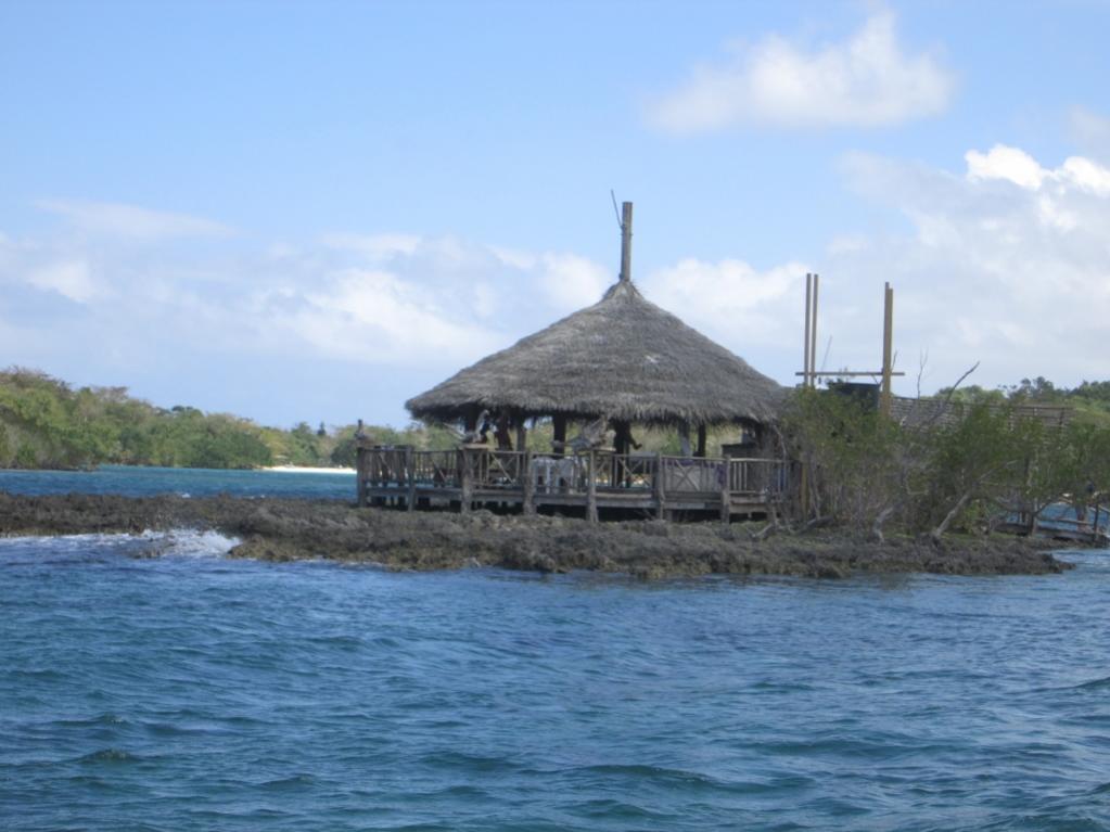 Name:  Calico Jack-3.jpg
Views: 598
Size:  76.7 KB