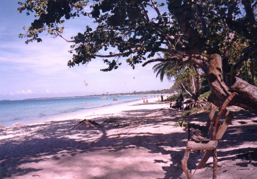 Name:  beach.jpg
Views: 1099
Size:  99.8 KB