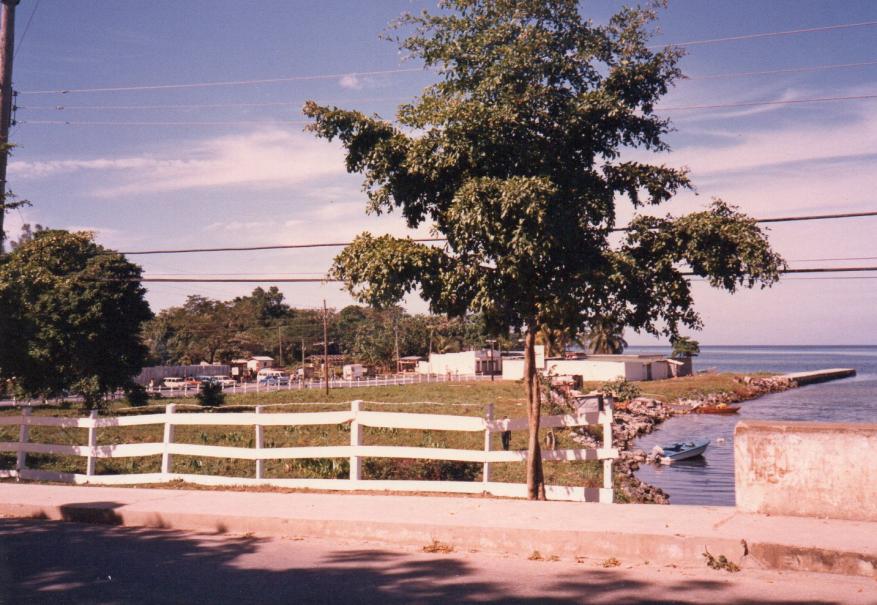 Name:  Town.jpg
Views: 834
Size:  98.0 KB