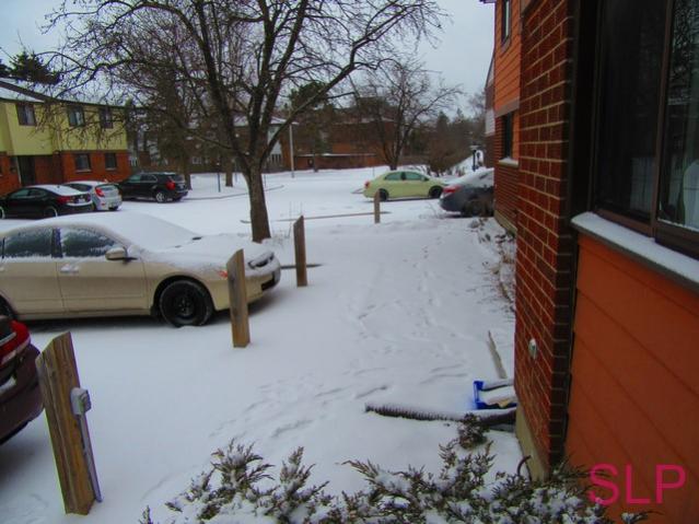 Name:  IMG_0342 (Copy).jpg
Views: 286
Size:  49.9 KB