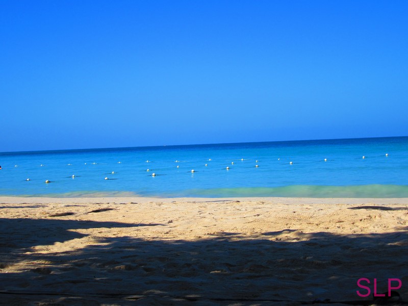 Name:  IMG_0187 (Copy).JPG
Views: 270
Size:  91.6 KB