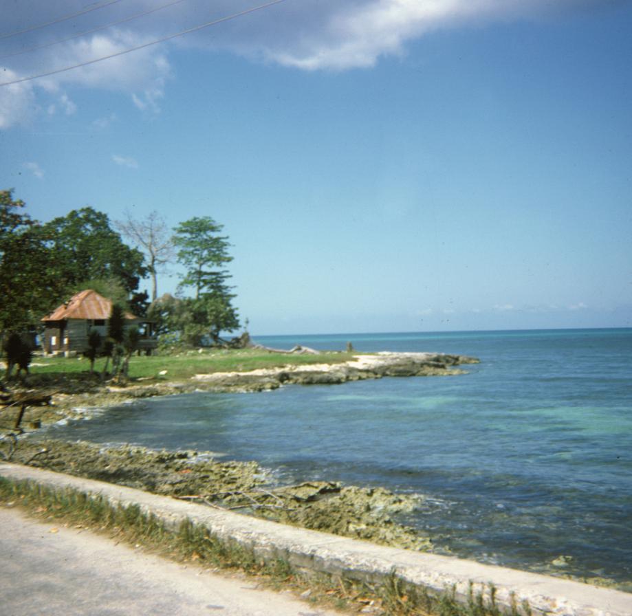 Name:  Jamaica_013.jpg
Views: 1004
Size:  85.1 KB