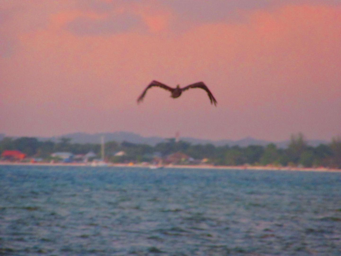 Name: 20160407182232.jpg
Views: 522
Size: 95.5 KB