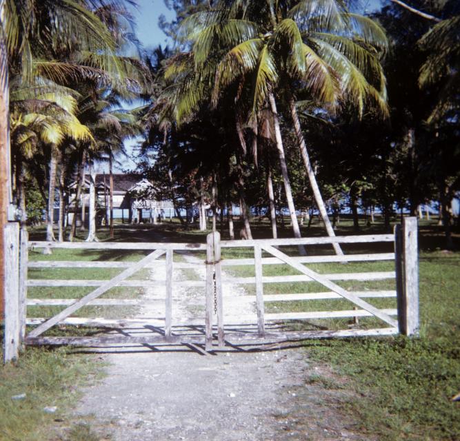 Name:  Jamaica_025.jpg
Views: 497
Size:  96.2 KB