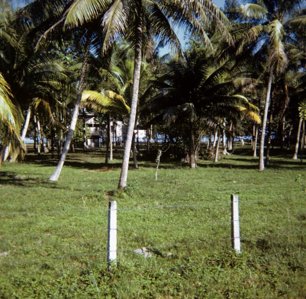 Name:  Slides_006.jpg
Views: 493
Size:  98.0 KB