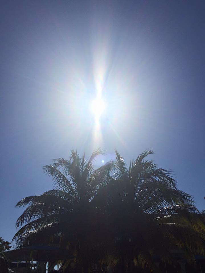 Name: sunshine.jpg
Views: 959
Size: 41.8 KB