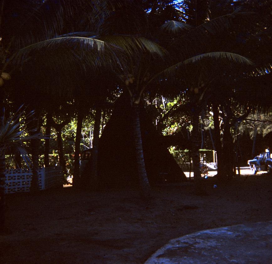 Name:  Slides_012.jpg
Views: 841
Size:  97.4 KB