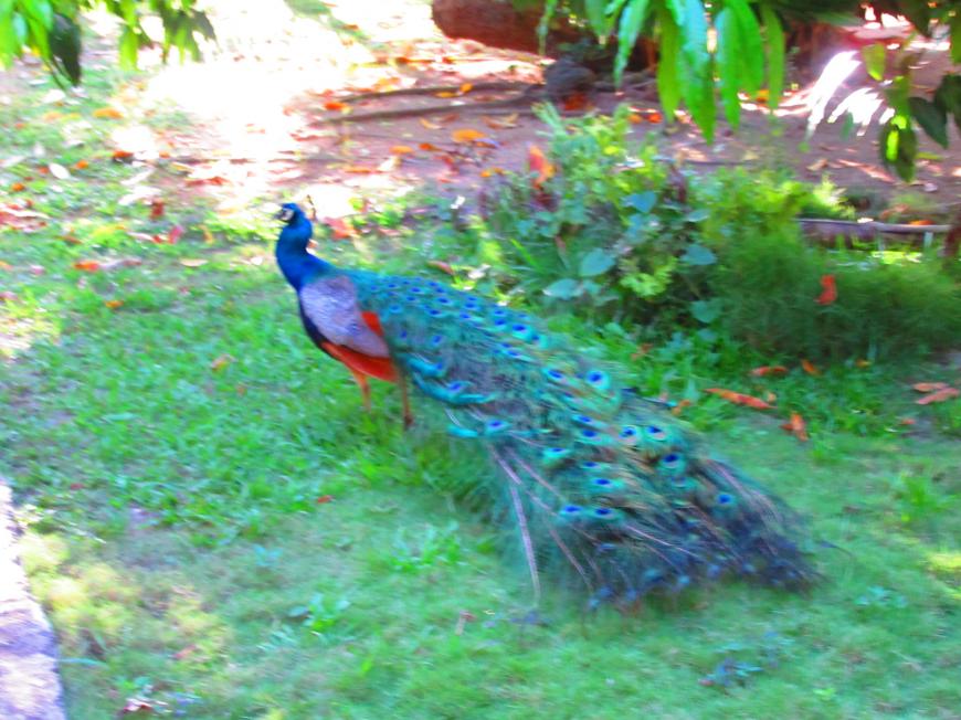 Name:  20160412170509.jpg
Views: 942
Size:  95.3 KB