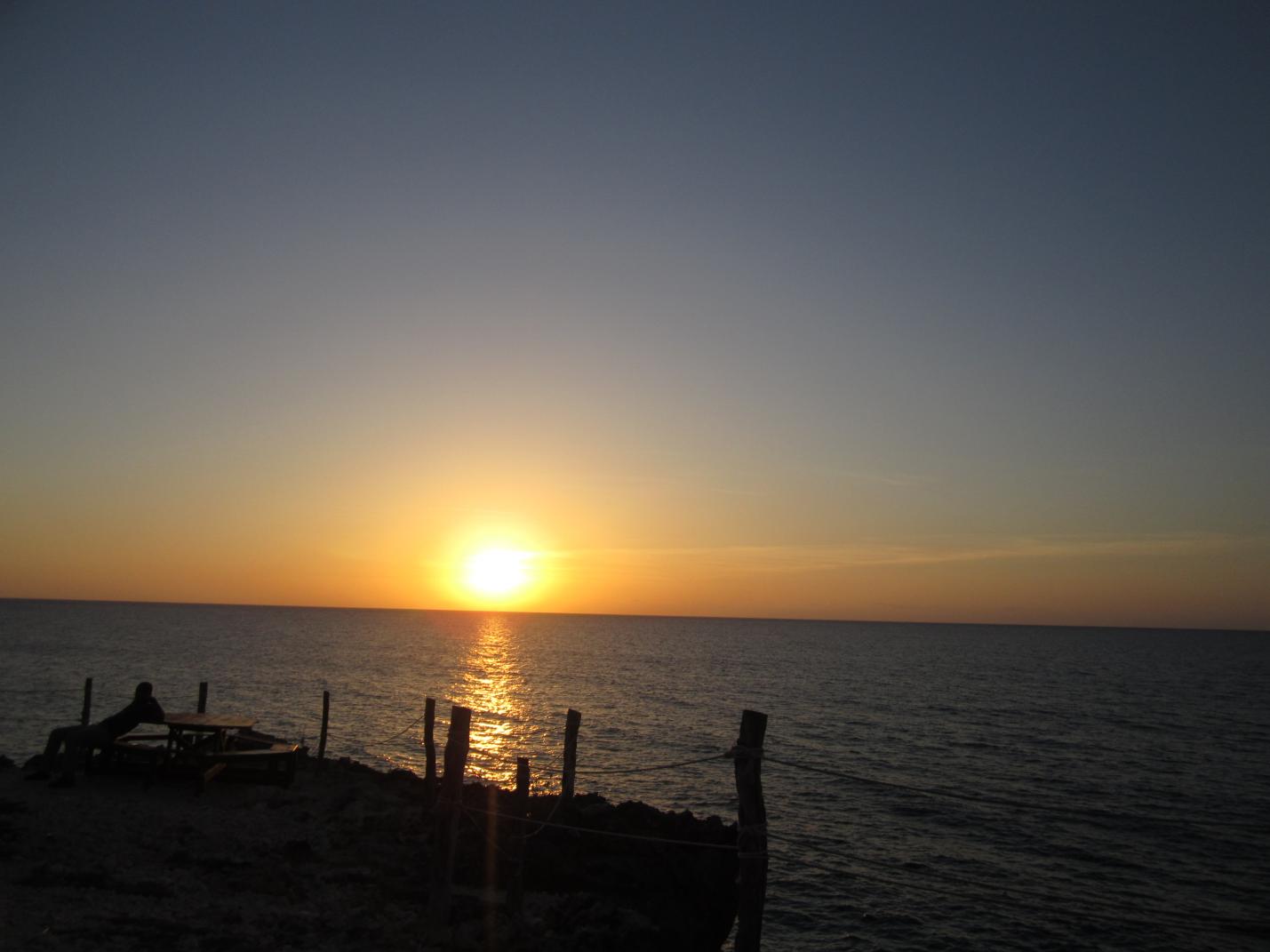 Name:  IMG_1212.jpg
Views: 552
Size:  85.2 KB