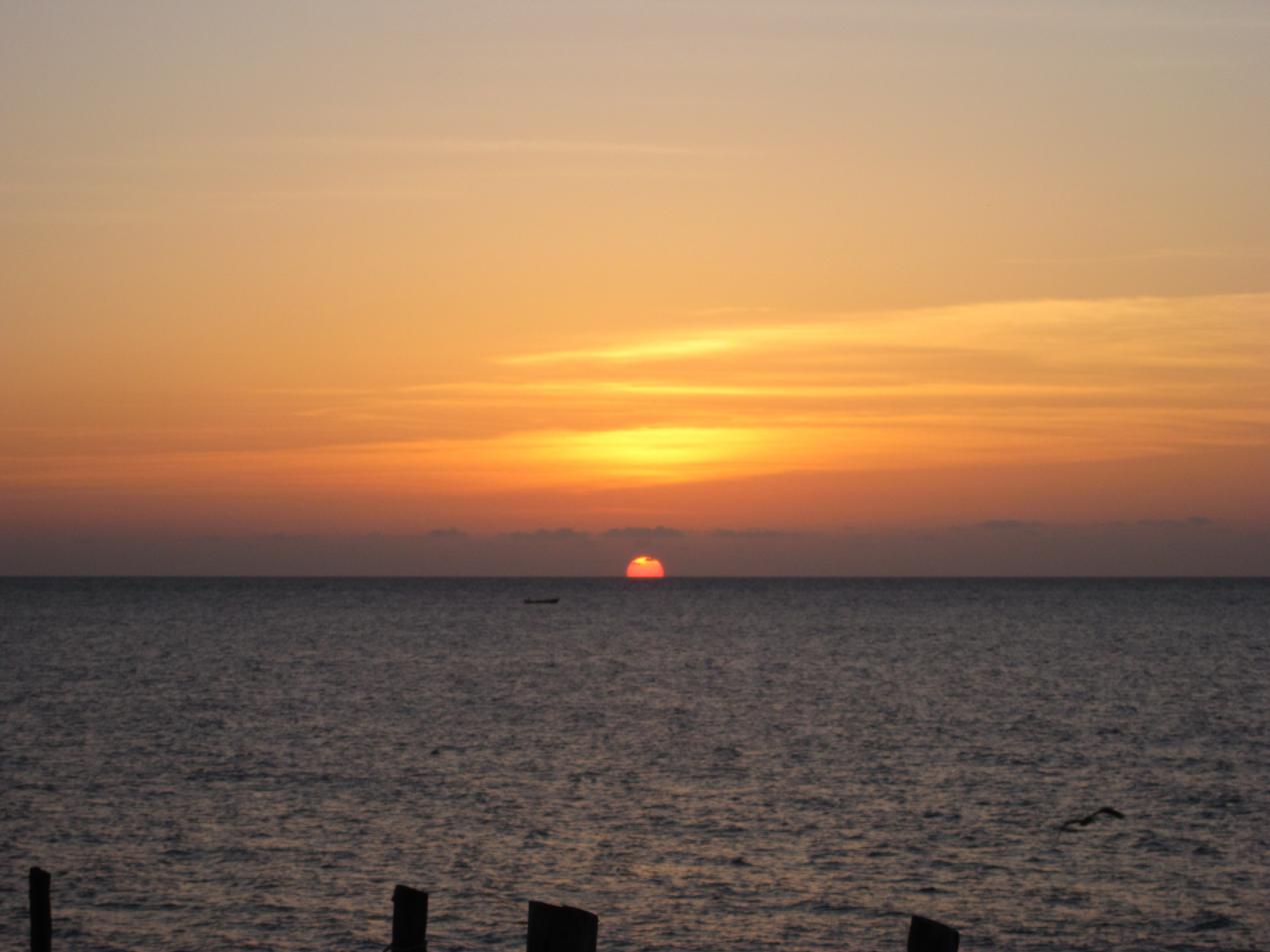 Name:  IMG_1217.jpg
Views: 541
Size:  83.1 KB