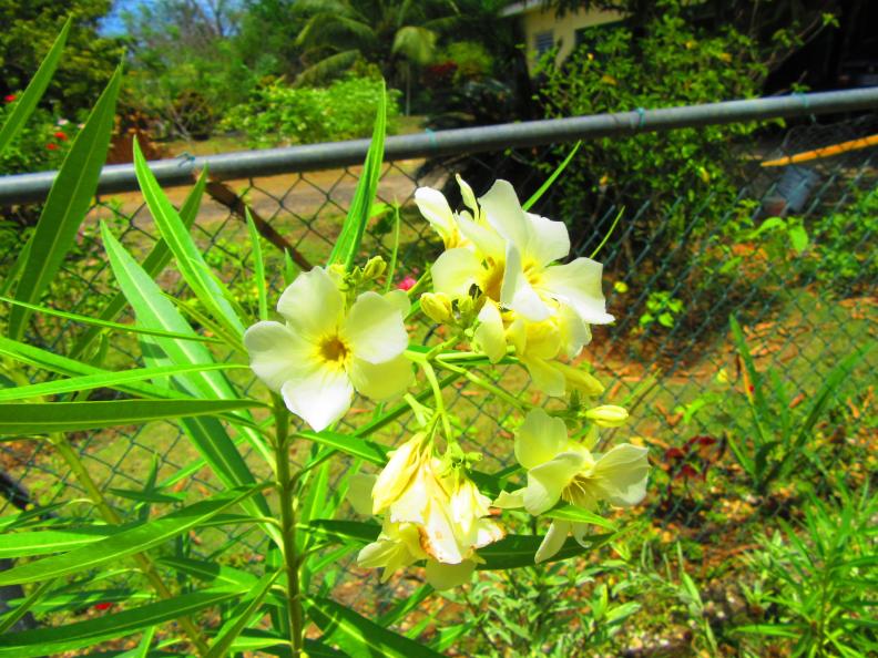 Name:  20160419125239.jpg
Views: 995
Size:  99.6 KB