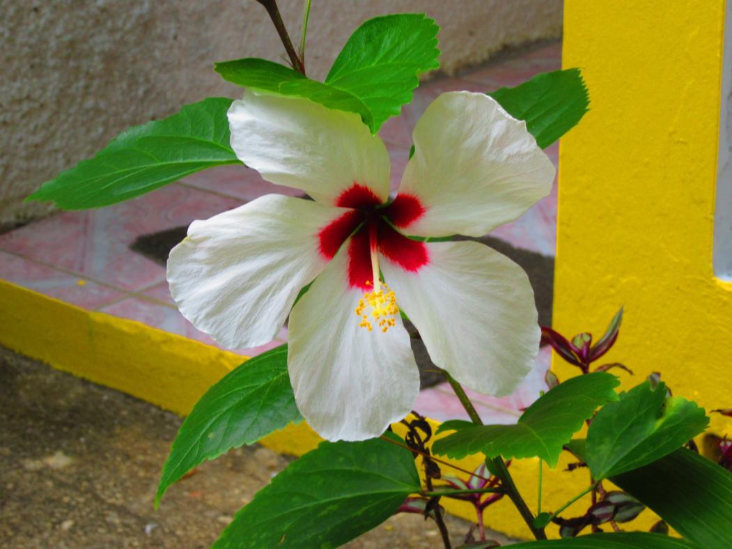 Name:  20160422121524.jpg
Views: 470
Size:  86.9 KB