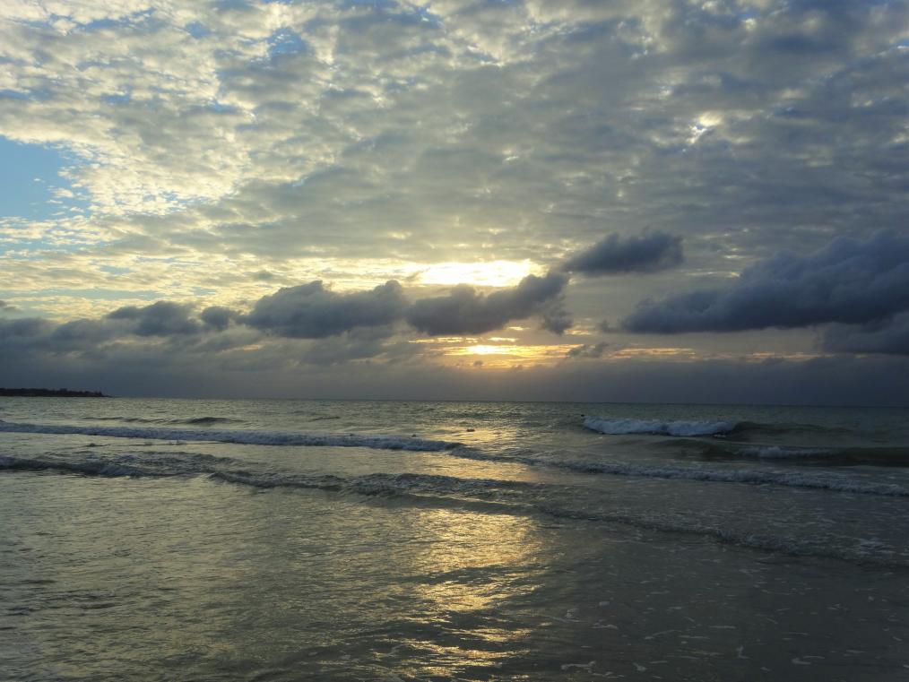 Name:  DSC03398.jpg
Views: 749
Size:  92.4 KB
