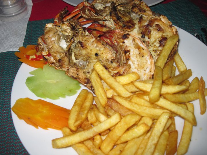 Name:  LTU Lobsta.jpg
Views: 289
Size:  92.3 KB