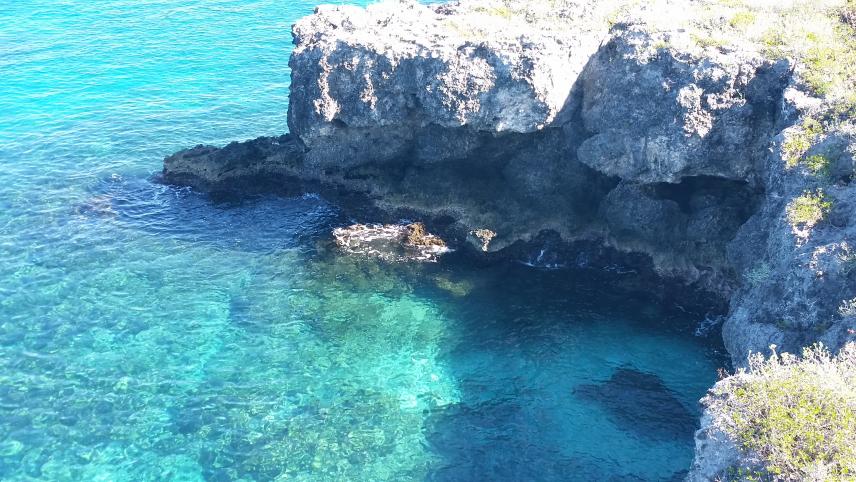 Name: 20160302_092959.jpg
Views: 690
Size: 99.8 KB