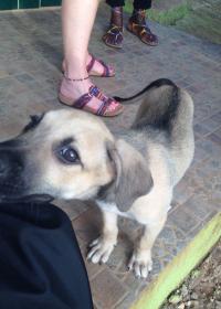 Name: image.jpg
Views: 687
Size: 10.5 KB