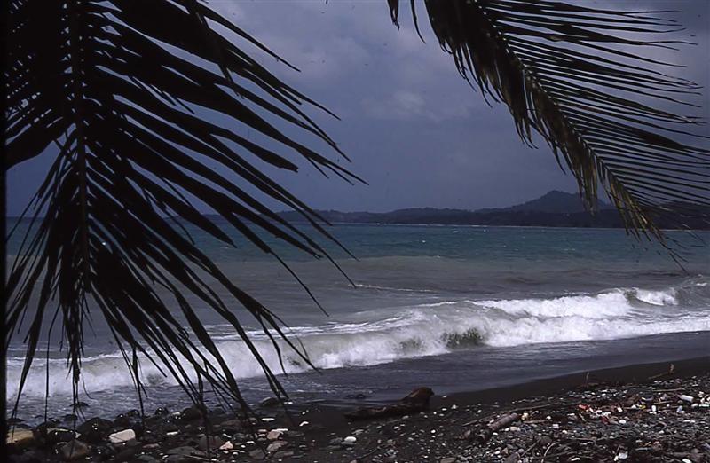 Name:  Black Sand.JPG
Views: 960
Size:  81.9 KB