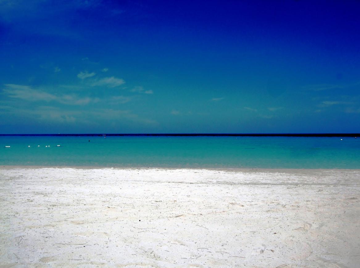 Name:  Jamaica June 2010 005 adj.jpg
Views: 1159
Size:  93.2 KB