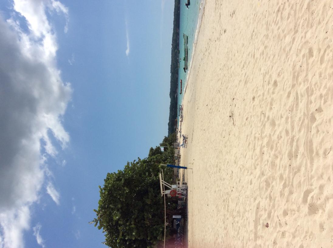 Name:  IMG_3477.jpg
Views: 719
Size:  90.4 KB