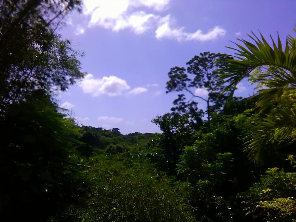 Name:  2016-09-30_09.47.25.jpg
Views: 1313
Size:  90.5 KB