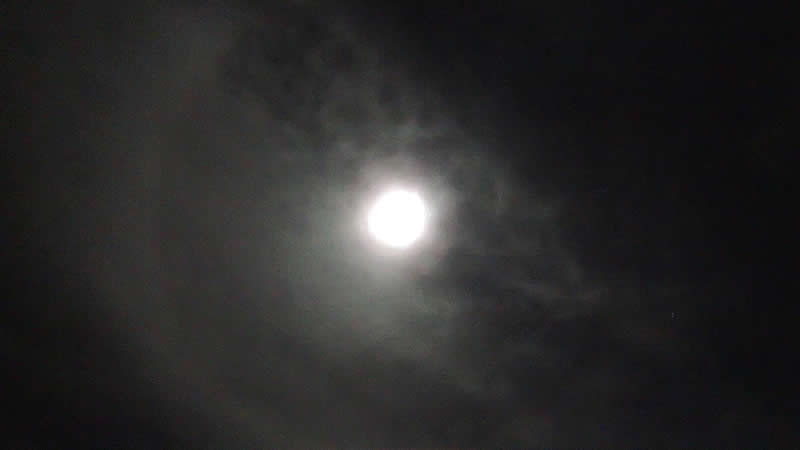 Name:  PA131123.jpg
Views: 416
Size:  9.6 KB