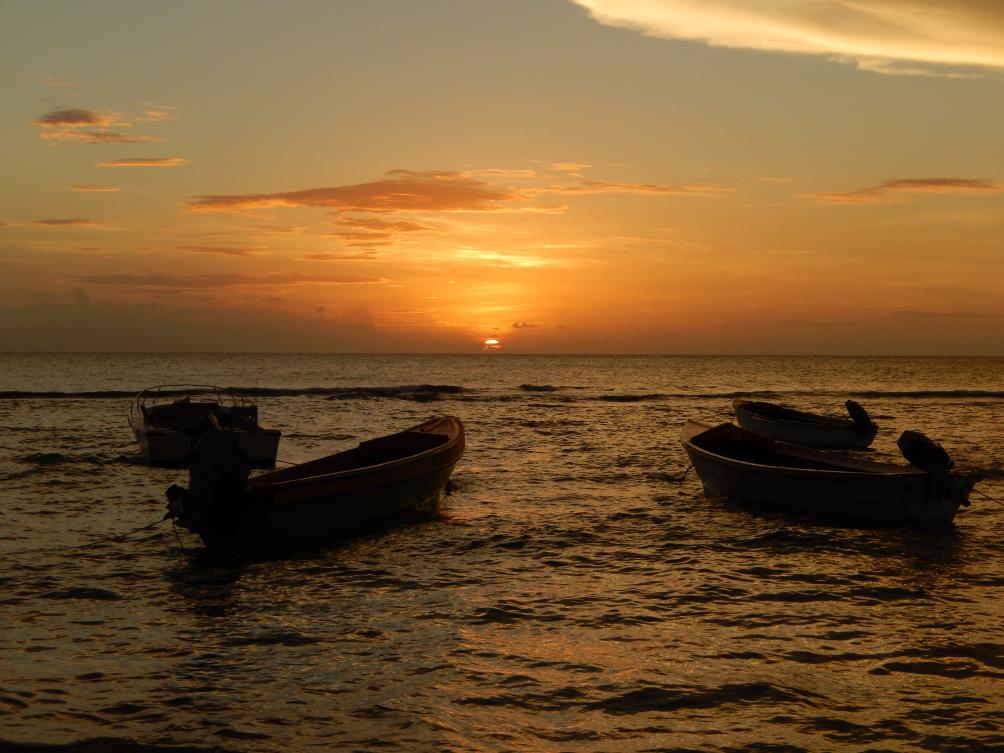 Name:  Jamaica 11-11-13 - Treasure Beach - 1290.jpg
Views: 767
Size:  93.3 KB