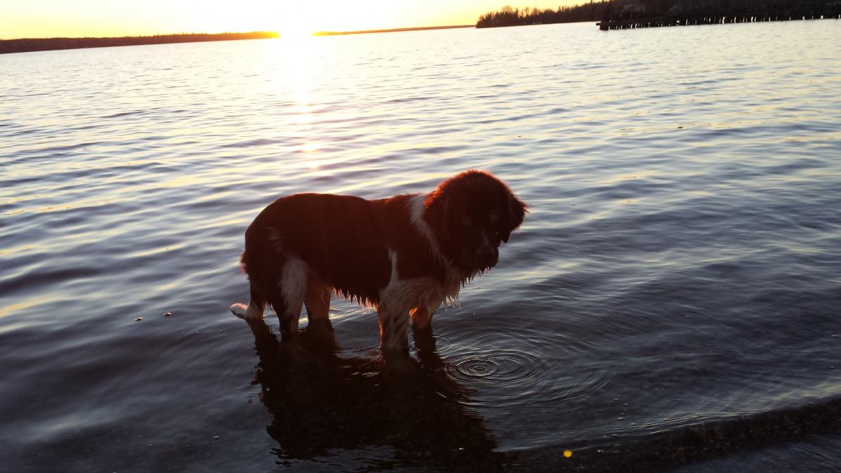 Name:  rasta 2.jpg
Views: 585
Size:  94.5 KB