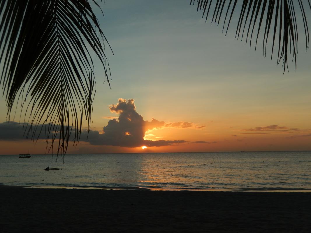 Name:  DSCN0774.jpg
Views: 466
Size:  90.2 KB